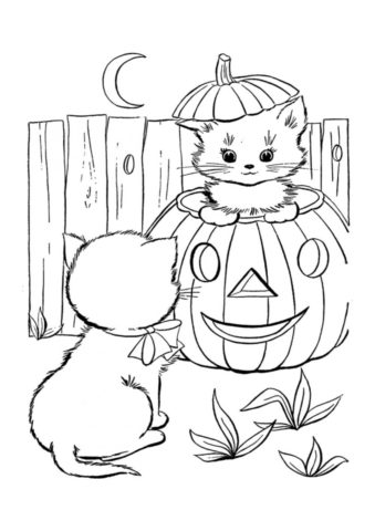 Кошки готовятя к Хеллоуину (Коты, кошки, котята) распечатать разукрашку