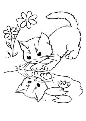 Котик смотрит в отражение (Коты, кошки, котята) раскраска для печати и загрузки