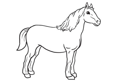Крепкий конь раскраска распечатать на А4 - Лошади и пони