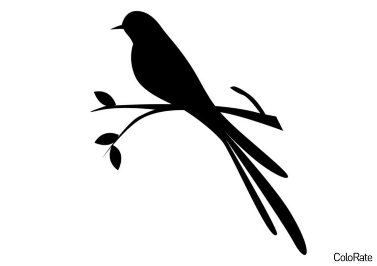 Трафарет Ласточка на веточке для вырезания распечатать на А4
