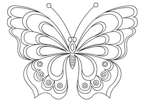 Раскраска Лесная красавица распечатать и скачать - Бабочки