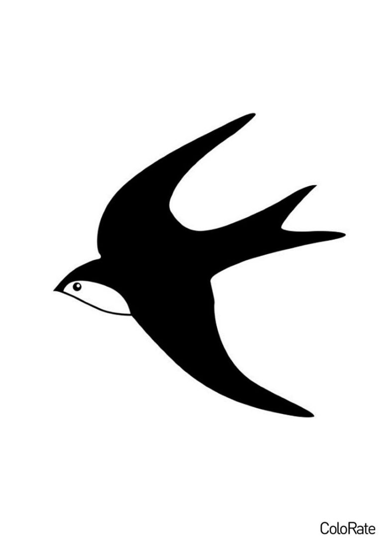Трафареты птиц для вырезания - шаблоны А4 на ColoRate