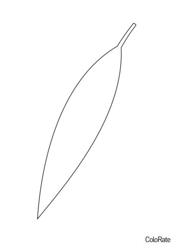 Листок Эвкалипта (Трафареты листьев) трафарет для печати на А4 и вырезания