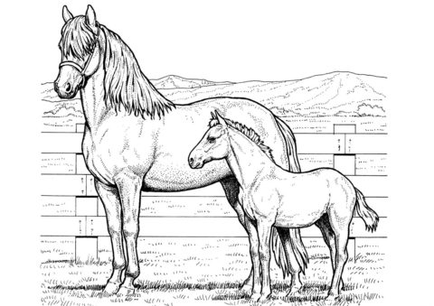 Лошадь с жеребенком (Лошади и пони) распечатать раскраску