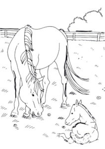 Бесплатная раскраска Лошадь с ребенком - Лошади и пони