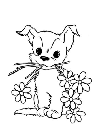 Собаки и щенки распечатать раскраску на А4 - Маленький щенок с цветами в подарок