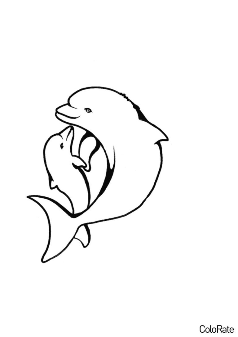 Раскраски дельфинов для детей - распечатать на А4 и скачать