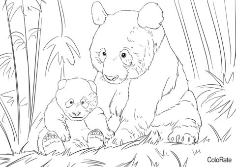 Бесплатная раскраска Мама-панда с детенышем распечатать на А4 и скачать - Медведи