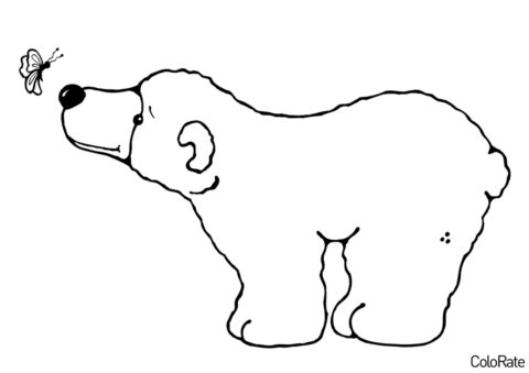 Медведи бесплатная раскраска - Медведь и бабочка