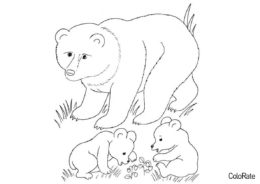 Медведица с детенышами разукрашка скачать и распечатать - Медведи
