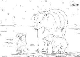 Раскраска Медведица с двумя медвежатами распечатать и скачать - Медведи