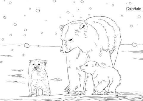 Раскраска Медведица с двумя медвежатами распечатать и скачать - Медведи