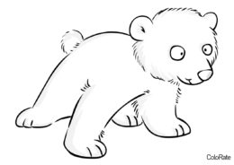 Медведи бесплатная раскраска - Медвеженок