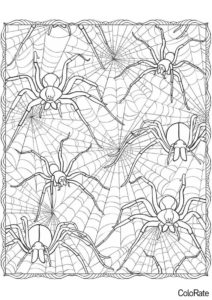 Много пауков на паутине - Пауки бесплатная раскраска