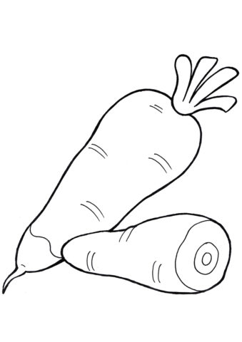 Морковь обыкновенная (Морковь) раскраска для печати и загрузки