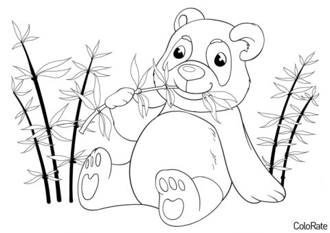 Медведи бесплатная разукрашка - Мультяшная панда