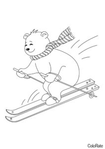 Раскраска На лыжах распечатать на А4 - Медведи