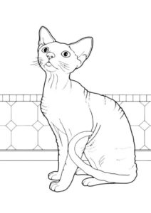 Наблюдающий сфинкс - Коты, кошки, котята раскраска распечатать на А4