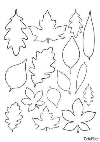 Набор листьев распечатать трафарет - Трафареты листьев