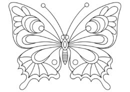 Бабочки бесплатная раскраска - Незабываемый узор