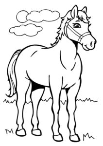 Обыкновенная лошадка - Лошади и пони бесплатная раскраска