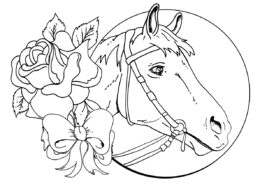 Разукрашка Открытка с конем распечатать и скачать - Лошади и пони
