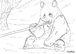 Медведи бесплатная разукрашка - Панда ест бамбук