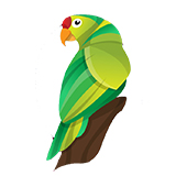 Раскраски попугаев на ColoRate
