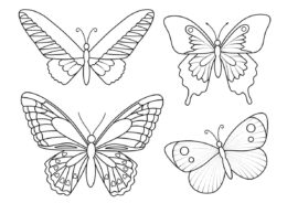 Прекрасные бабочки - бесплатная раскраска