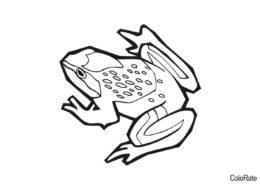 Пятнистая лягушка (Лягушки и лягушата) бесплатная раскраска
