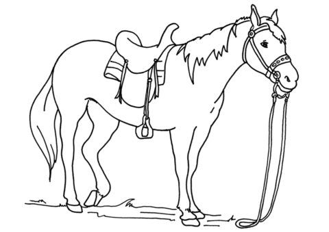Разукрашка Работящая лошадь распечатать и скачать - Лошади и пони
