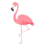 Раскраски фламинго для детей распечатать
