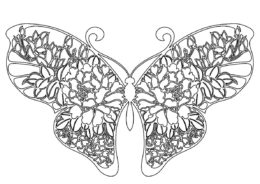 Раскраска Расписная бабочка распечатать на А4 и скачать - Бабочки