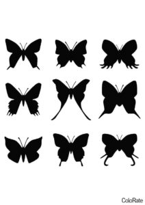 Разные виды бабочек (Трафареты бабочек) трафарет для печати и загрузки
