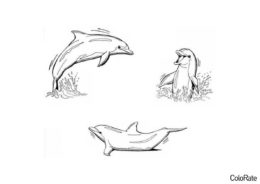 Бесплатная раскраска Развлекающиеся дельфинчики - Дельфины