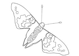 Бабочки бесплатная раскраска распечатать на А4 - Репейница