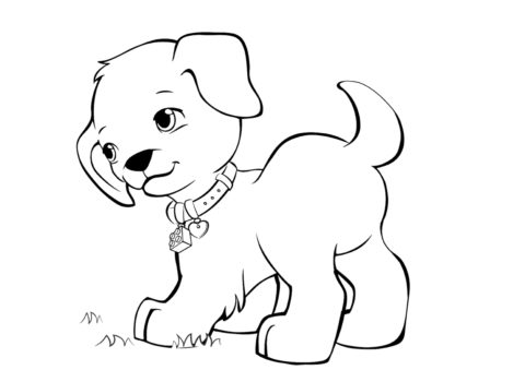Резвый щенок на прогулке (Собаки и щенки) разукрашка для печати на А4