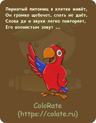 Загадки про попугая в картинках - Задачка #20112