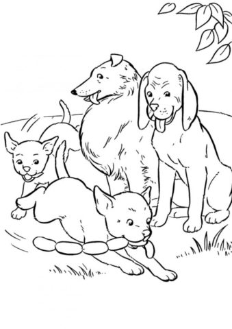 Семья собак (Собаки и щенки) бесплатная раскраска на печать