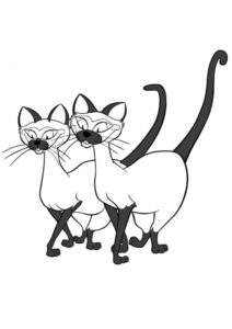 Коты, кошки, котята распечатать раскраску на А4 - Сиамские близнецы