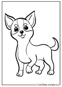 Смешной щеночек с поднятой лапкой - раскраска Чихуахуа на ColoRate