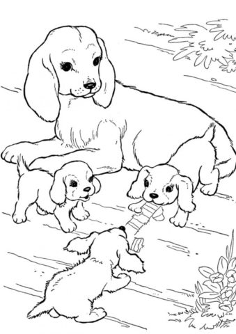 Раскраска Собачья семья распечатать на А4 и скачать - Собаки и щенки