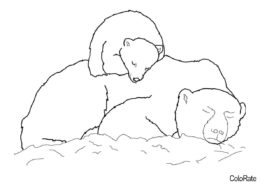 Спящие медведи (Медведи) бесплатная раскраска