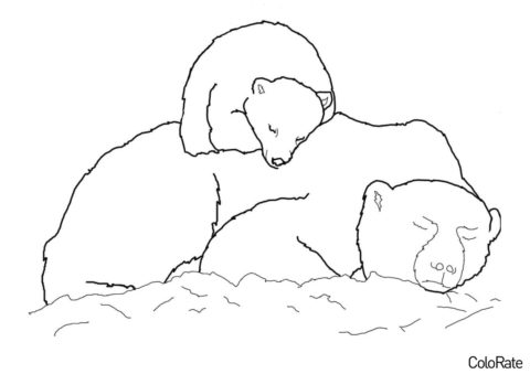 Спящие медведи (Медведи) бесплатная раскраска