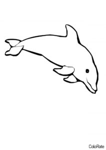 Улыбающийся дельфинчик бесплатная раскраска - Дельфины