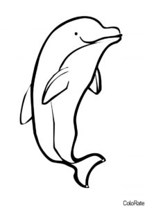 Дельфины бесплатная раскраска - Улыбчивый дельфин