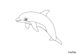 Улыбчивый малыш распечатать разукрашку бесплатно - Дельфины