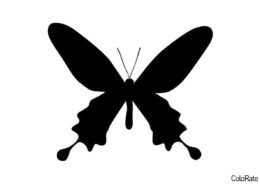 Уссурийский серицин - Трафареты бабочек распечатать трафарет на А4