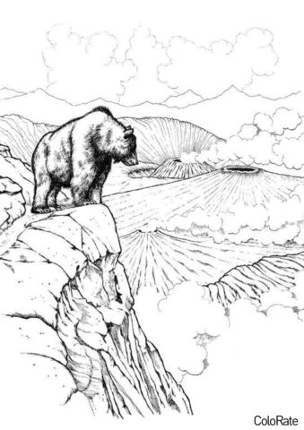 Медведи бесплатная раскраска - Вблизи вулкана