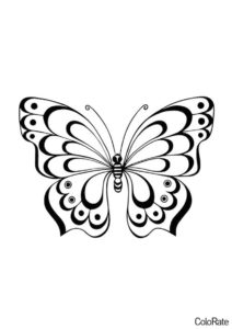 Великолепное насекомое трафарет распечатать на А4 - Трафареты бабочек